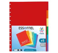 Lot de 6 classeurs maxi format A4 avec perforation spéciale pour porte transparente, et couvertures amovibles, référence 152487-06