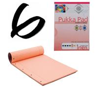 Lot de 6 feuilles de papier Peint Rose Pukka A4 80 g/m² ligné avec marge 100 pages 50 feuilles