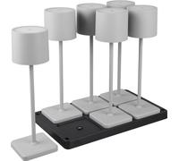 Lot de 6 lampes grises rechargeables avec socle de recharge intégré LED 1W FERNANDEZ RL