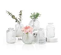 Lot de 6 petits vases pour fleurs EylKoi,Vase en verre transparent de différentes formes, décoration de mariage vintage, petits vases à fleurs simples pour la maison, les événements