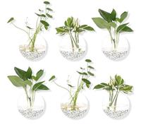 Lot de 6 pots de verre Pots de décoration murale à suspendre 2 pots ronds en verre à suspendre Air Plante Pots Vase Air Plante Terrariums Décoration murale à suspendre à plante, 12 cm de diamètre