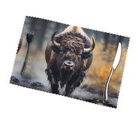 Lot de 6 sets de table motif bison d'Amérique du Nord - 30,5 x 45,7 cm - Résistants à la chaleur - Lavables - Décoration de fête ou de restauration