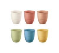 LOT DE 6 VERRES "TIERRA" Bas