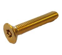 Lot De 6 Vis Tfx 5X30 A Teton Doree - Urmet Accessoires 2V500524D