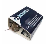 Lot de 60 pièges à souris - Colle à souris - Piège à rat - Souris Trap