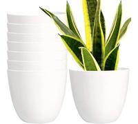 Lot De 7 Pots Youngever En Plastique Blanc 16 Cm Avec Drainage 3 Ouvertures, Hauteur 14 Cm, Diamètre 16,5 Cm, Plantes D¿Intérieur Multicolore