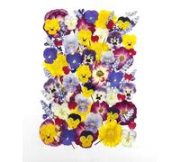 Lot de 70 fleurs séchées comestibles pressées pour décoration de gâteaux, mélange de roses naturelles, alto, souci et lavande, de qualité alimentaire pour bijoux en résine, fabrication de bougies