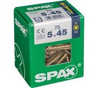 Lot de 75 vis acier tête fraisée pozidriv SPAX, Diam.5 mm x L.45 mm G