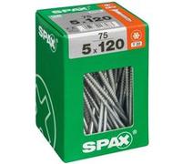 Lot de 75 vis acier tête plate SPAX, Diam.5 mm x L.120 mm G