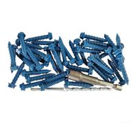 Lot de 80 vis à béton à tête hexagonale bleues pour matériaux de panneaux de béton avec foret de précision