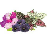 Lot de 9 capsules pour pots Click & Grow - mélange de fleurs