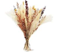 Lot de branches de pampas au style bohème chic pour une décoration d'intérieur unique