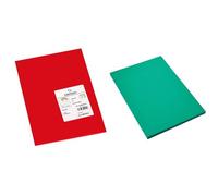 Lot de CANSON Iris Vivaldi - Paquet 50 feuilles de papier couleur A4-185g/m² - Rouge + CANSON Iris Vivaldi - Paquet 50 feuilles de papier couleur A4-185g/m² - Vert sapin
