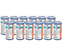 Lot de cartouches filtrantes pour piscine Bestway - 12 pièces, cartouche filtrante A III-A/C