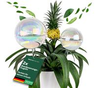 Lot de deux globes d'arrosage en verre : 400 ml + 180 ml