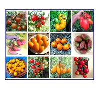 Lot de graines de tomates résistantes au froid-12 variétés-Graines Premium-Sans OGM et pesticides-100% reproductibles-Ces