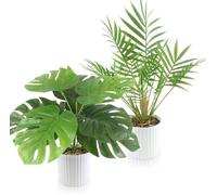 Lot de plantes artificielles (35 cm), 2 pièces, palmiers Areca et Monstera, plantes artificielles pour l'intérieur et l'extérieur, d'aspect très réaliste, pour le balcon, le salon et la salle de bains