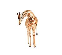 Lot de stickers muraux Safari, grande girafe avec oiseaux tropicaux, 80,4 x 146,6 cm, décoration de chambre d'enfant