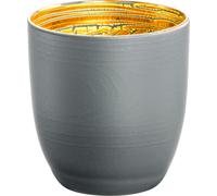 Lot promotionnel de 12 tasses à espresso 109/6 gris-or COSMO COLLECT 70510963, avec cadeau + don