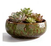 Lotus Pot de fleurs en céramique pour bonsaï, 16,5 x 6,5 cm, pot de fleurs hydroponique en céramique, pot pour plantes succulentes, plantes hydroponiques (vert)