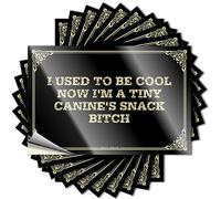 Love Decal Hat I Used to Be Cool Now I'm A Tiny Canine's Snack Bitch | Christmas Haves (12 x 18 cm)