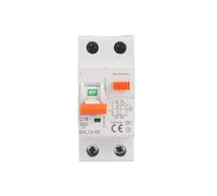 Low Voltage RCBO 30mA 1p+n RCBO Residual Current Circuit Breaker BIANMTSW(50A)