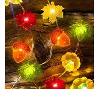 LQTSLFM Guirlande Automne 3M 30 LED Citrouille Gland Feuille Guirlande Automne Lumineuse Batterie pour Halloween, Thanksgiving, Intérieur Extérieur