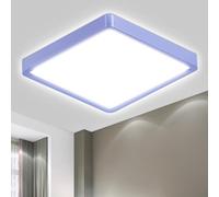 LQWELL® Plafonnier LED, Lampe de Salle de Bain Étanche IP44 Ronde Plate 23W 6000K 2600LM Lampe Simple Moderne Mince pour Salon Chambre Cuisine Balcon Couloir Sous-Sol Bureau, 300 * 25mm
