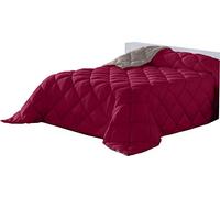 Lucena Cantos - Couette nordique unie 400 g/m² (260 x 270, Bicolore Bordeaux/Gris clair)