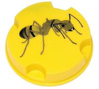 LUCIFER ANTIFOURMIS BOITE 10GRS 199