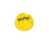 LUCIFER ANTIFOURMIS BOITE 10GRS 199