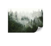 LUMASOUL Papier Peint Intissé 250x175 cm - Éclectique Panoramique Tapisserie Murale Facile à Monter - Papiers Peints Modernes Pour le Salon & Chambre à Coucher - Forêt I