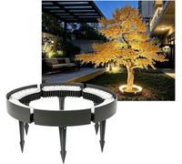 Lumière extérieure d'arbre d'anneau de LED colorée par C. 24V avec le pieu au sol(Cool White,6 Packs)