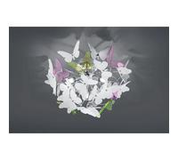 Trio-Leuchten Plafonnier enfants Butterfly, acrylique G9 28 W, chrome, 45×45×28,5 cm, multicolore