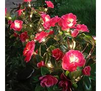 Lumières de fleurs de rhododendron alimentées par énergie solaire, lumières de jardin LED pour patio extérieur, pelouse, paysage, allée. Fleurs artificielles (lumière chaude/couleur aléatoire) rose,Vi