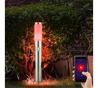 Luminaire de base LED avec douille, éclairage de chemin extérieur avec détecteur de mouvement, lampadaire de jardin, borne d'éclairage LED, acier inoxydable, 1x 10w 806 2700-6400K, DxH 7,6x 60 cm
