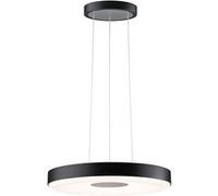 Paulmann Puric Pane lampe suspendue 1x22 W noir-gris/cendre 79517