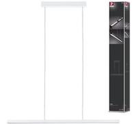 Paulmann Lento lampe suspendue 1x42 W blanc PL79901