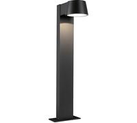 Paulmann Borne lumineuse Capea 94454 6 W 600 lm 3000 K IP44 Anthracite