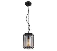 Luminaire suspendu extérieur lampe de jardin lampe suspendue lampe de balcon en acier inoxydable, design cage noir clair, 1x E27, DxH 16 x 75,5 cm