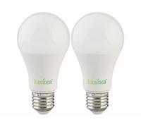 Luminea 2 ampoules LED E27 / 11 W / 1050 lm / 6500 K avec capteur d'obscurité