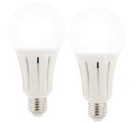 Luminea 2 ampoules LED E27 High Power 23 W - 2452 lm - Blanc lumière du jour