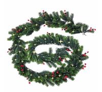 Lumineo Décoration lumineuse Noël - Vert et blanc