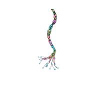 Lumineo Guirlande lumineuse - Vert