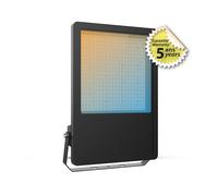 LUMOS PRO PROJECTEUR LED EXTERIEUR 200W 3CCT IP65 5ANS