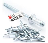 LUN FIX Rivet Pop Aluminium 4x12 mm, 1 kg, DIN 7337, Pour Tole | Fixation Aveugle Metal Tige Acier, Rivets Pop Plaque Immatriculation, Montage Atelier Carrosserie Automobile Réparation