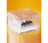 Lunartec Pavé Lumineux à LED Solaire - 15 x 15 x 5 cm