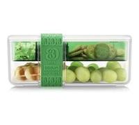 Lunch box compartimentée - BODUM - Bistro - Couverts - Vert