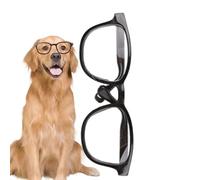 Lunettes de soleil pour chat et chien, accessoires photo, lunettes pour animaux domestiques, lunettes de protection UV, coupe-vent, pour cosplay, fête, costume d'Halloween