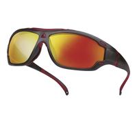 LUNETTES POLYCARBONATE DELTA PLUS - BLOW2MI
